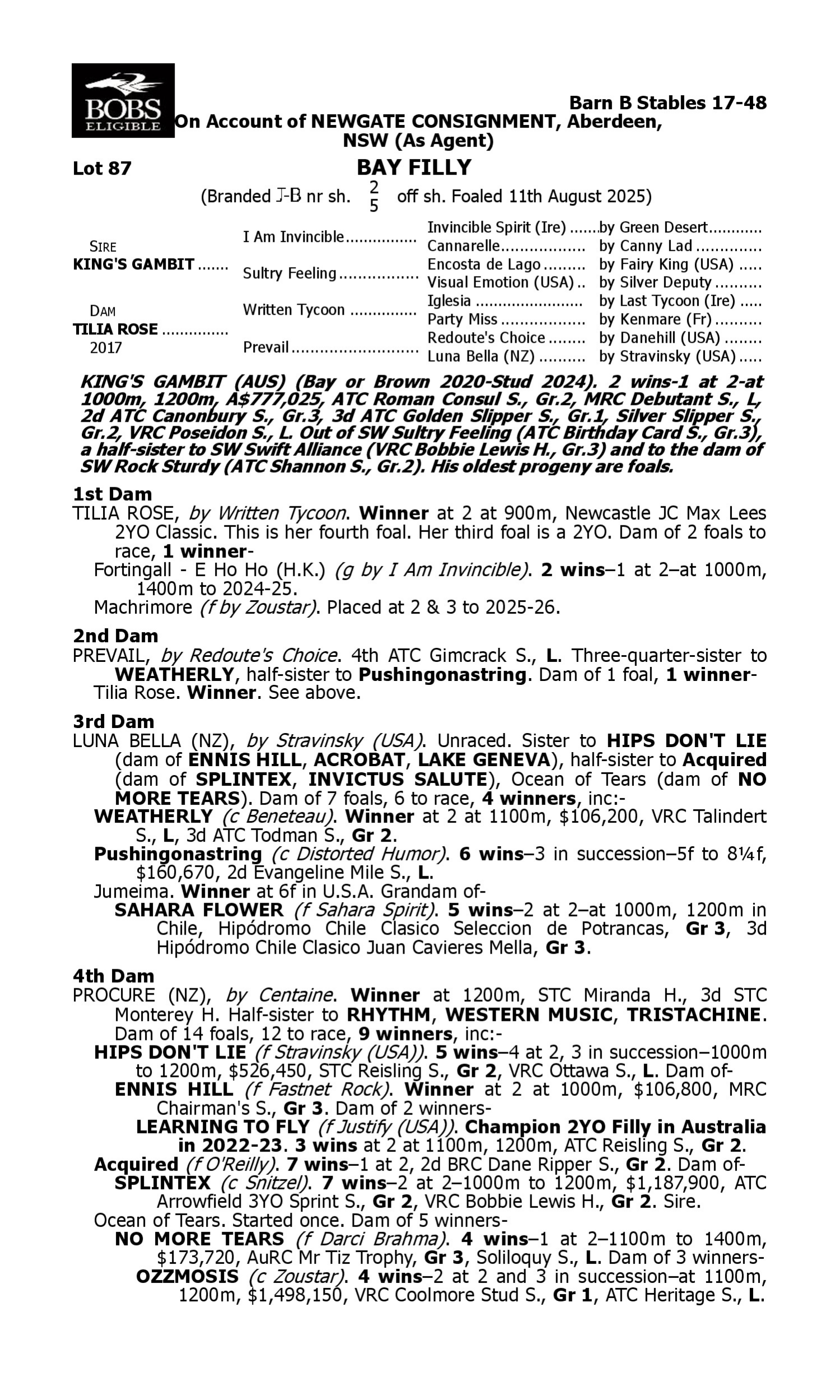 Pedigree for Lot 87 King's Gambit - Tilia Rose
