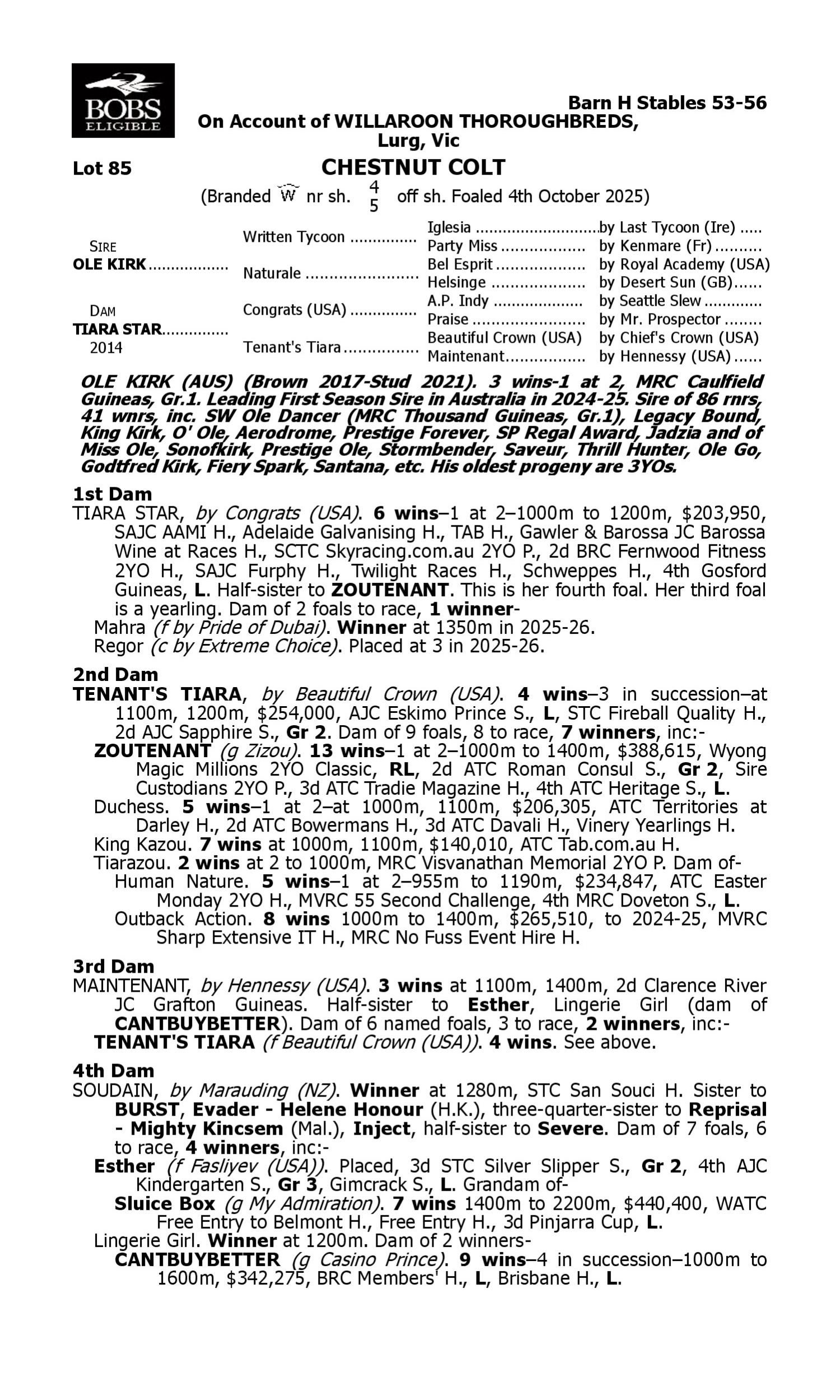 Pedigree for Lot 85 Ole Kirk - Tiara Star