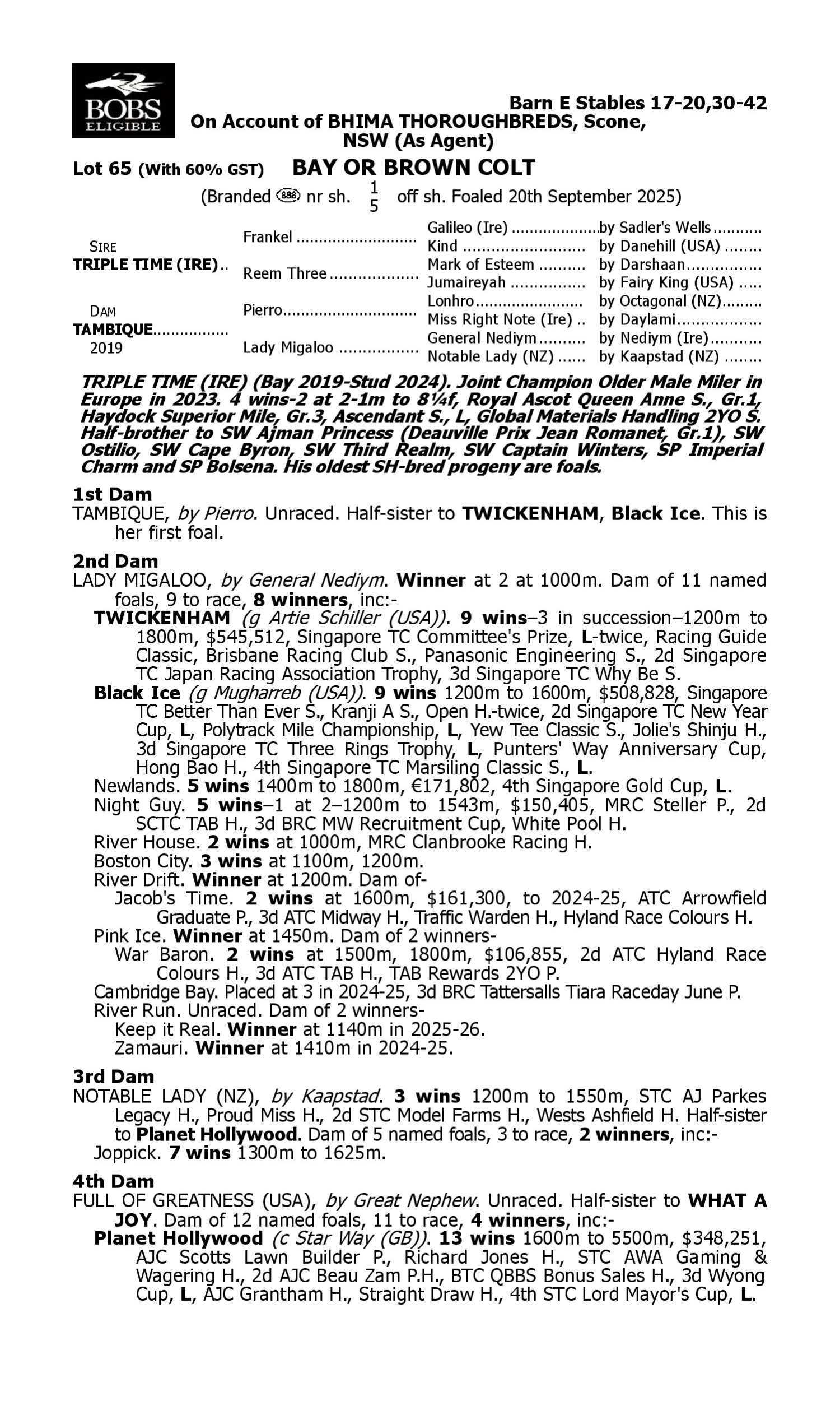 Pedigree for Lot 65 Triple Time (IRE) - Tambique