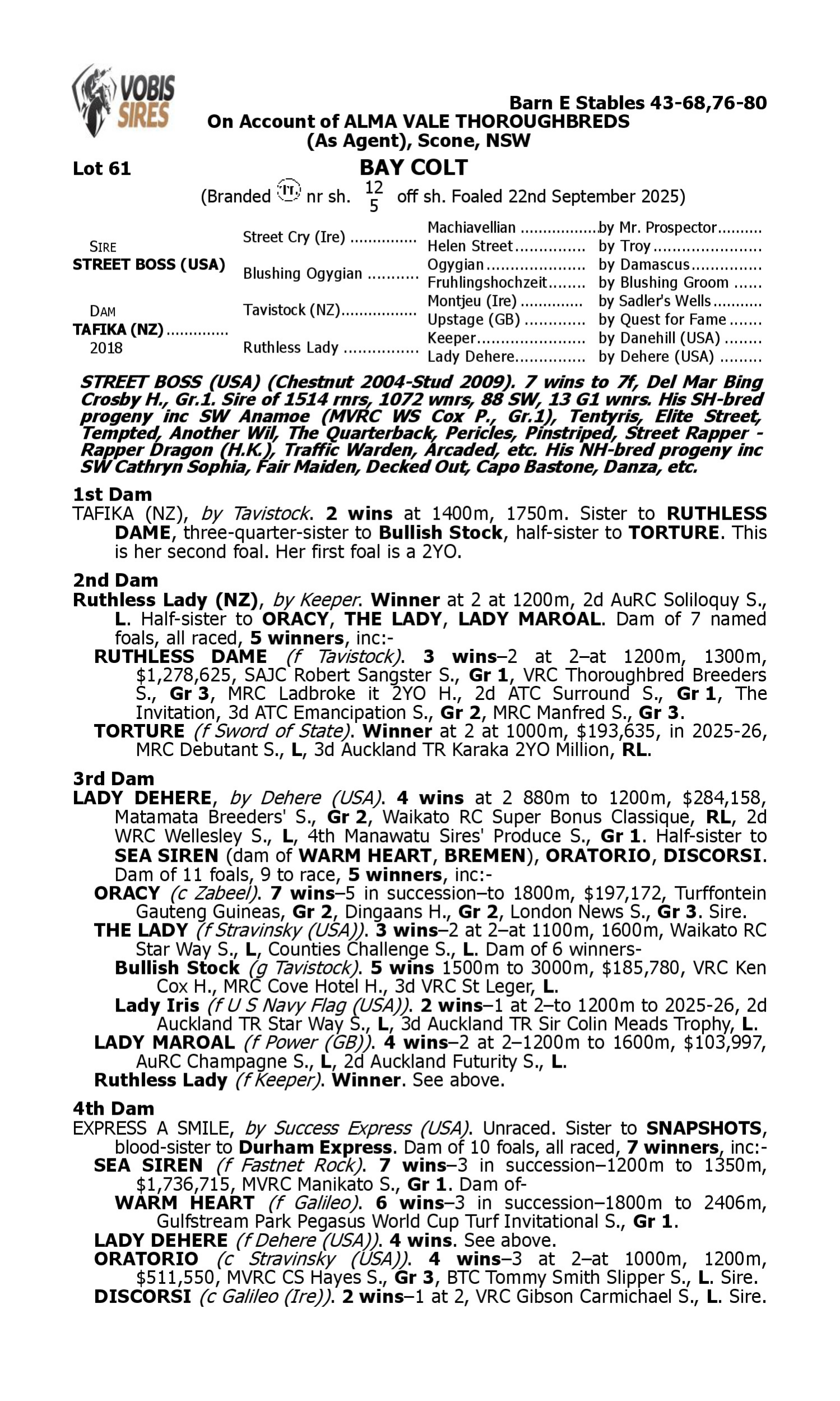 Pedigree for Lot 61 Street Boss (USA) - Tafika (NZ)