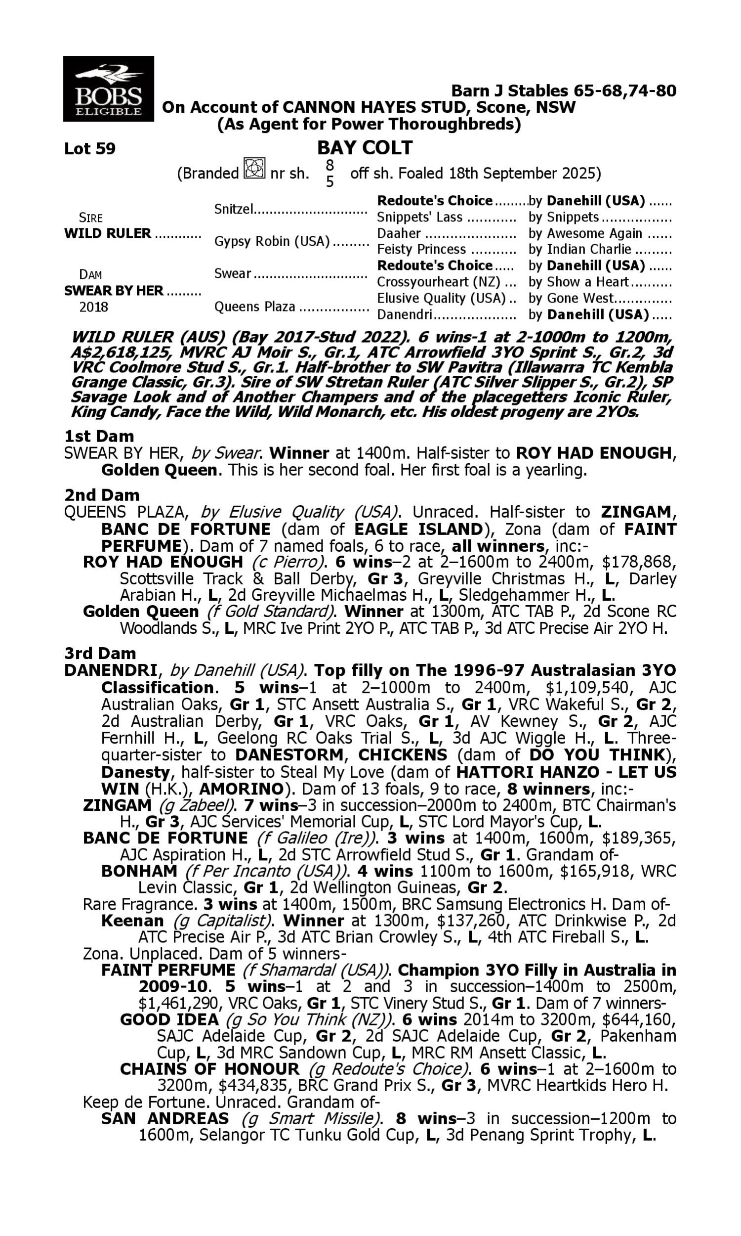 Pedigree for Lot 59 Wild Ruler - Swear by Her