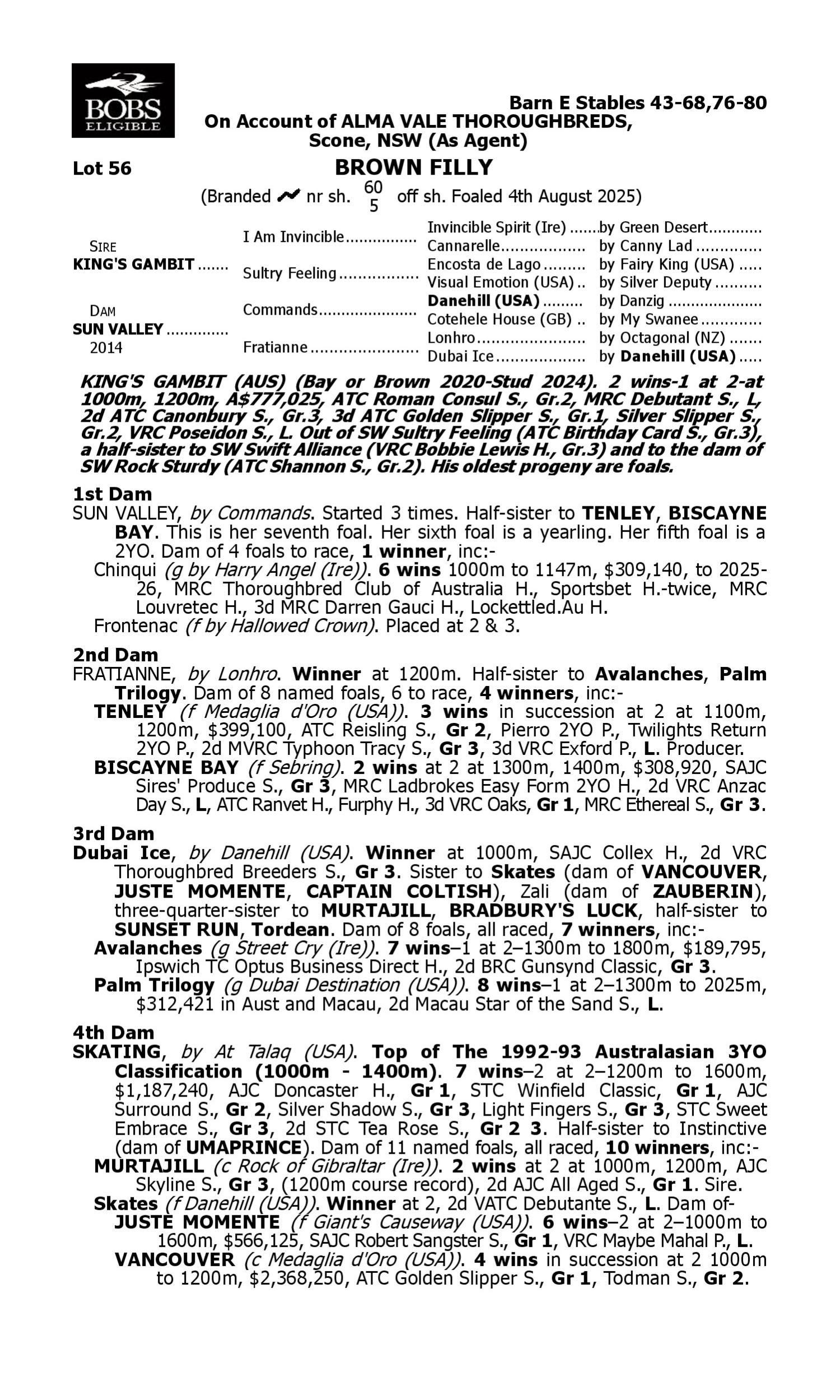 Pedigree for Lot 56 King's Gambit - Sun Valley