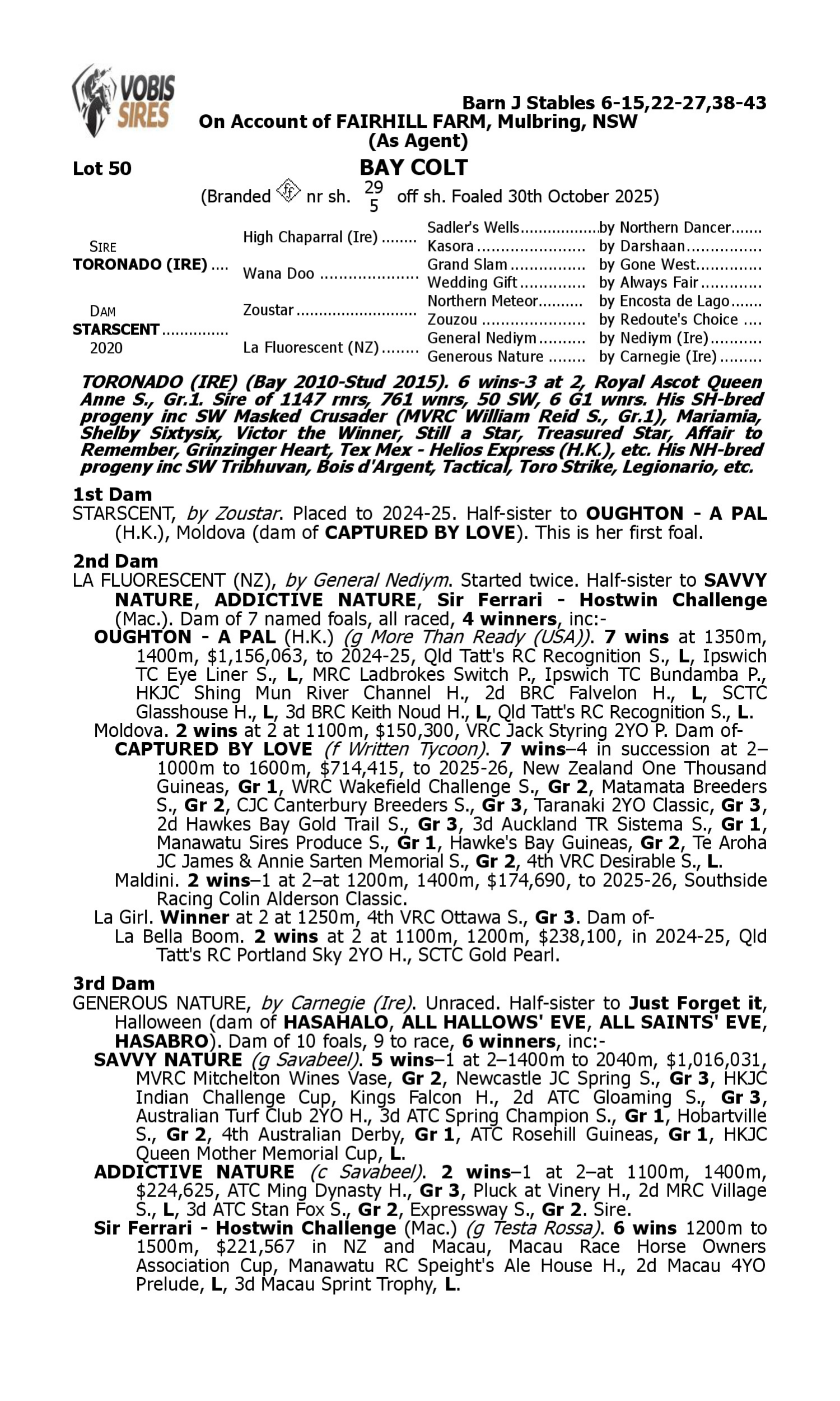 Pedigree for Lot 50 Toronado (IRE) - Starscent