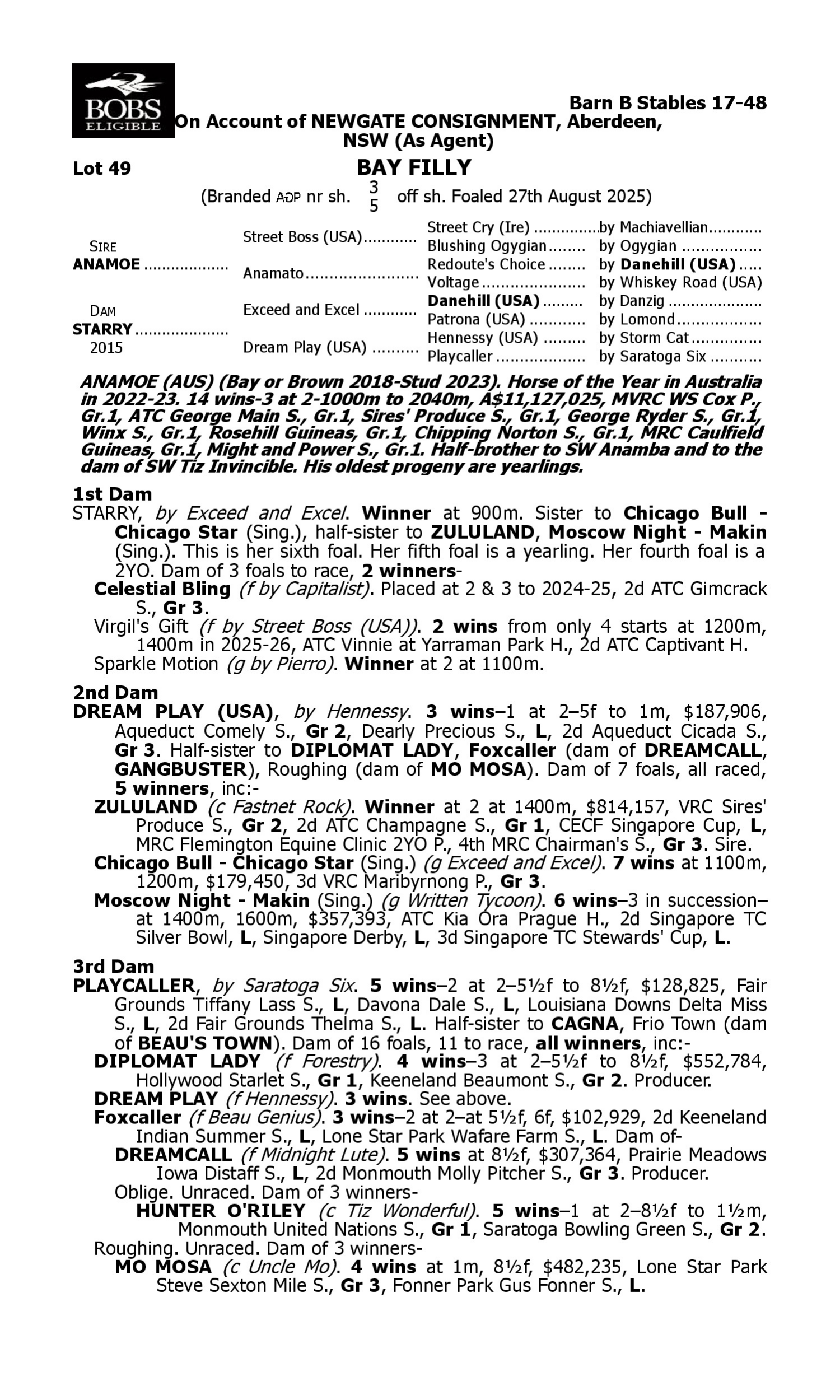 Pedigree for Lot 49 Anamoe - Starry