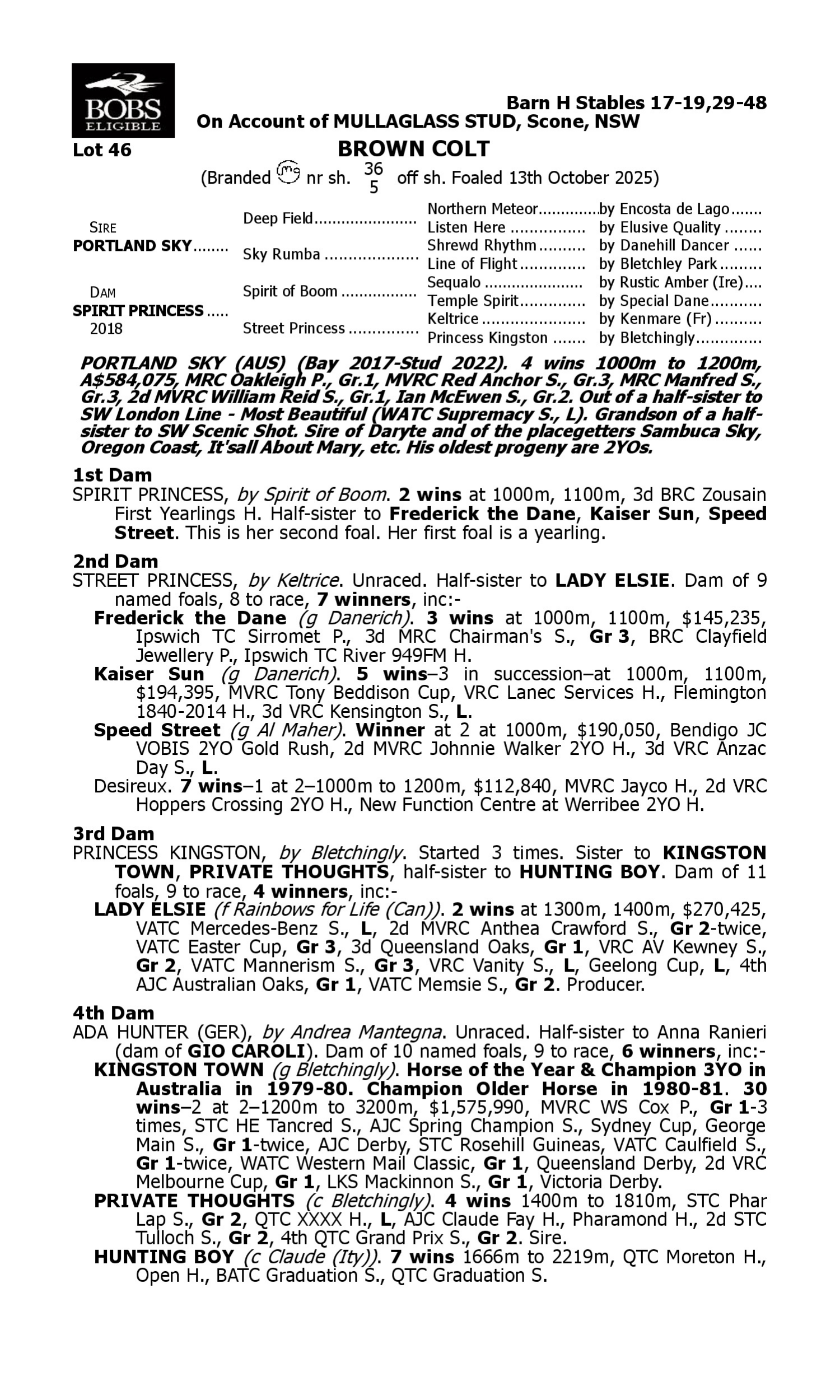 Pedigree for Lot 46 Portland Sky - Spirit Princess