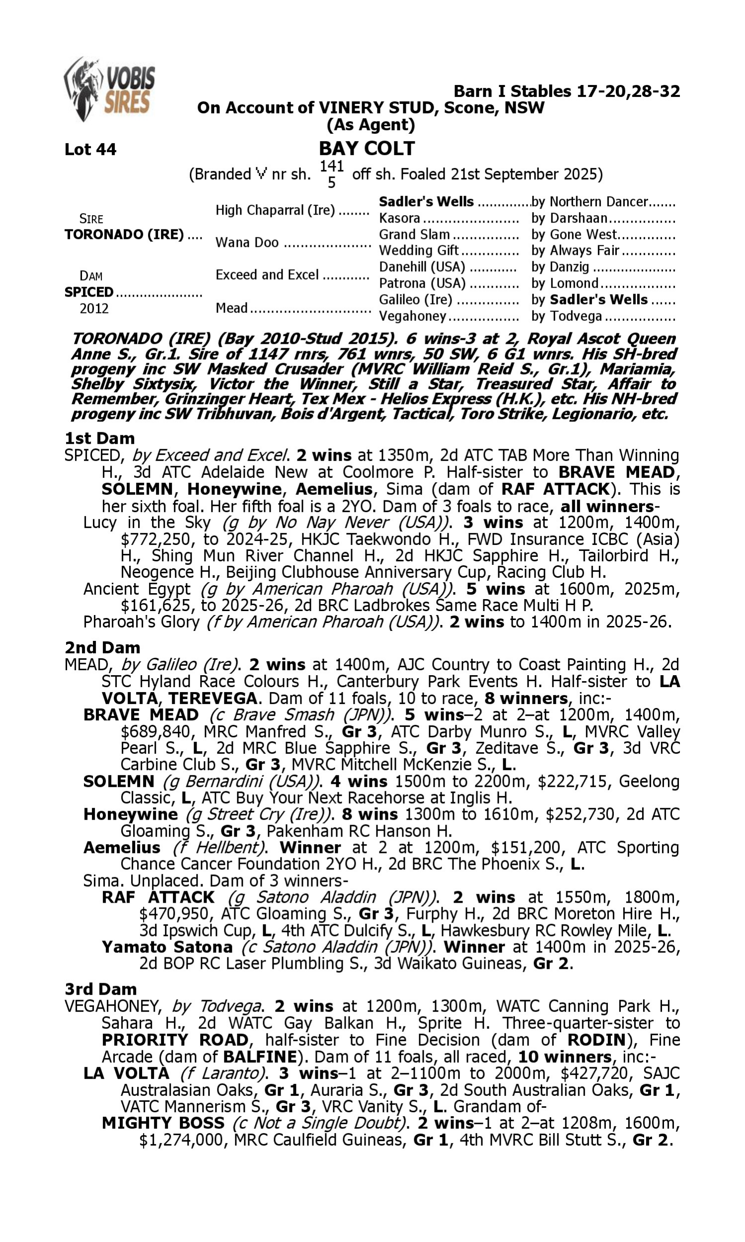 Pedigree for Lot 44 Toronado (IRE) - Spiced