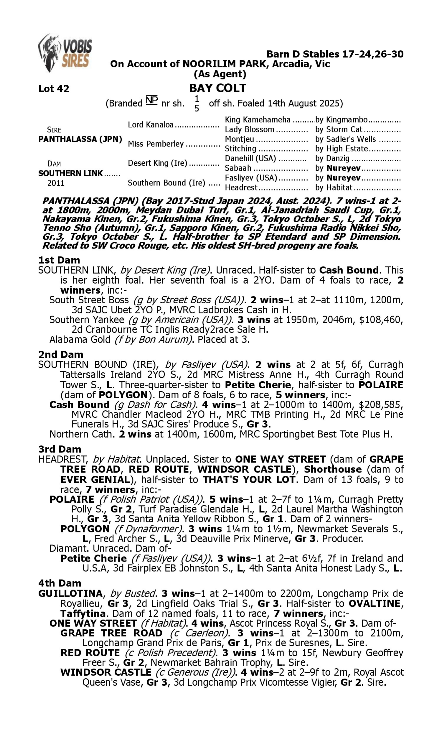 Pedigree for Lot 42 Panthalassa (JPN) - Southern Link