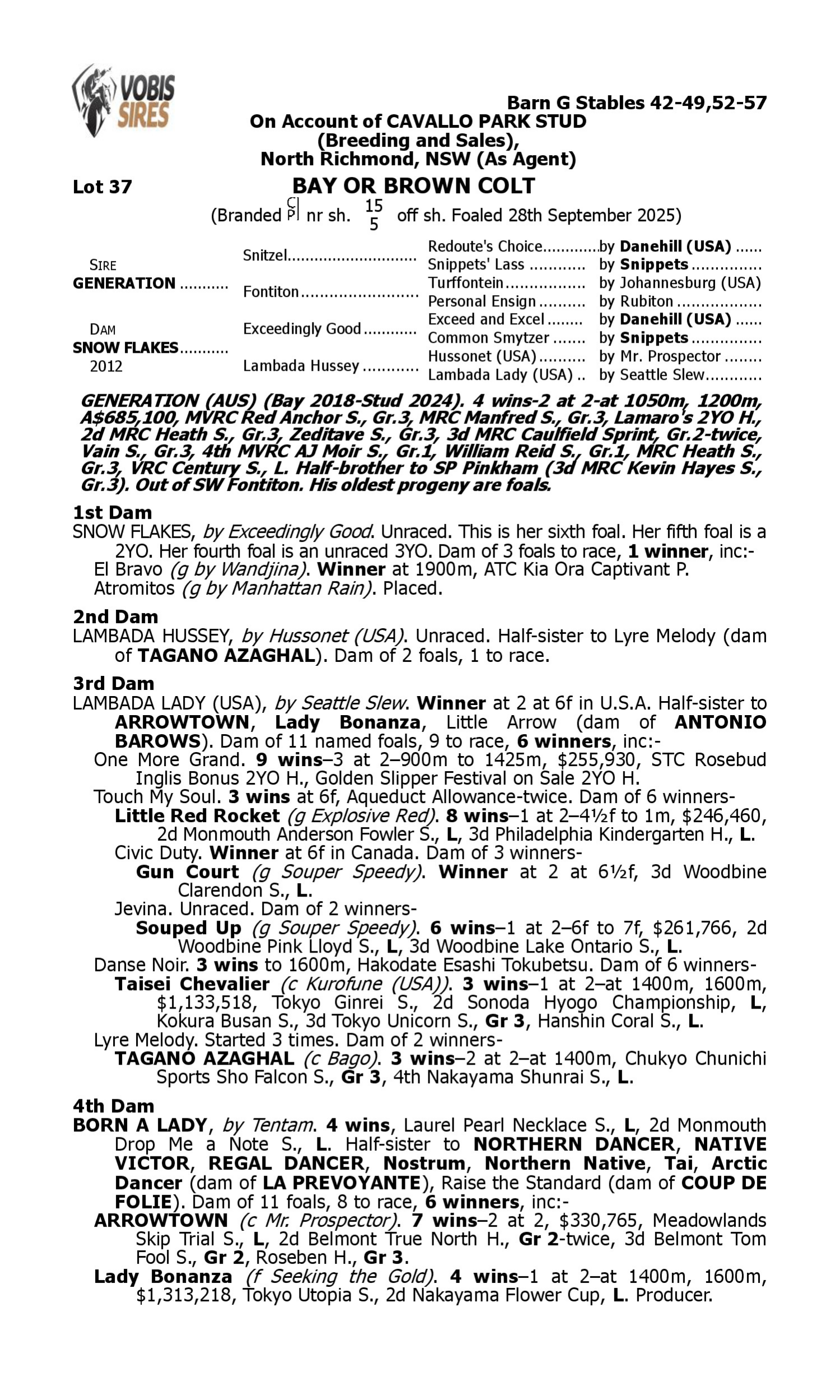 Pedigree for Lot 37 Generation - Snow Flakes