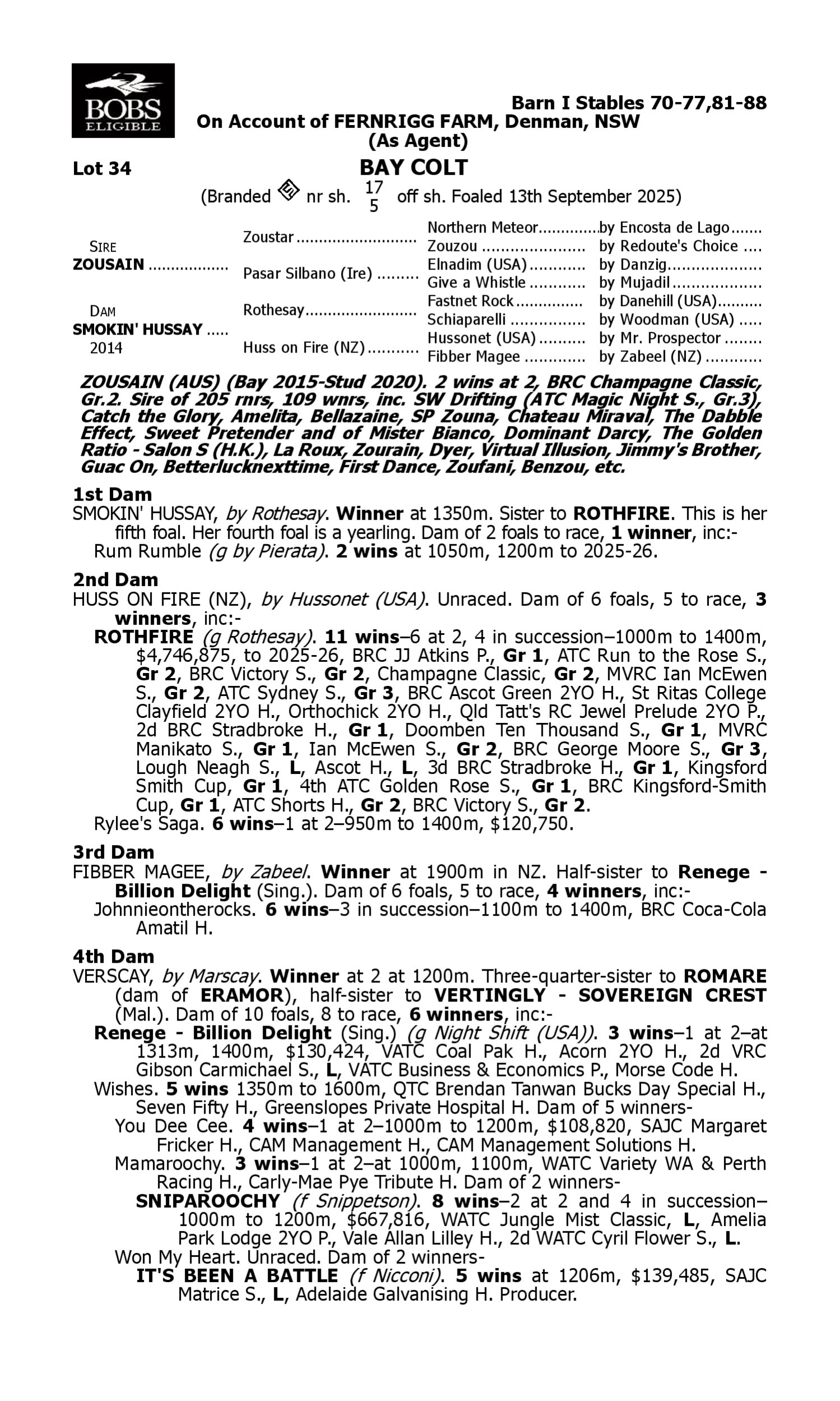 Pedigree for Lot 34 Zousain - Smokin' Hussay