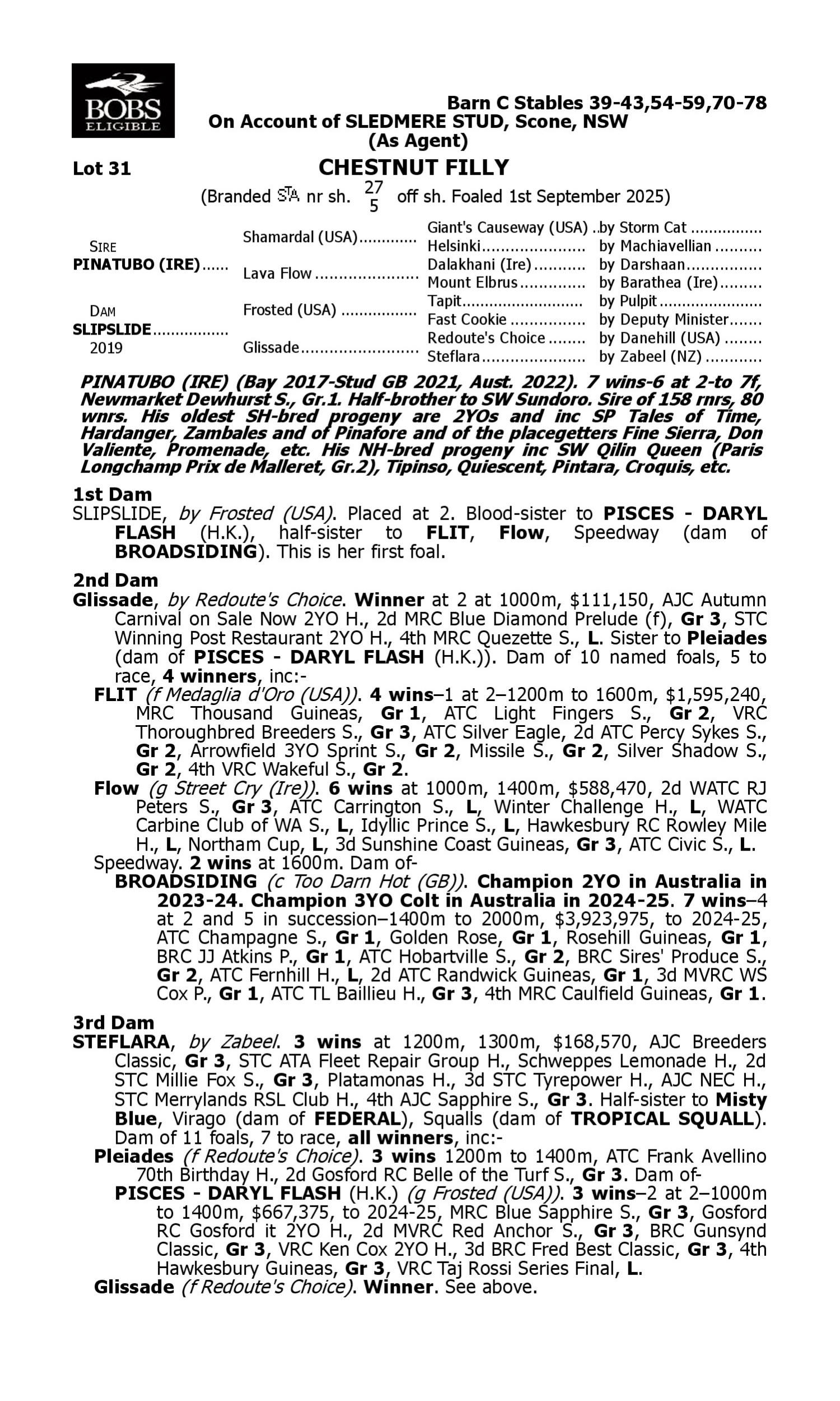 Pedigree for Lot 31 Pinatubo (IRE) - Slipslide