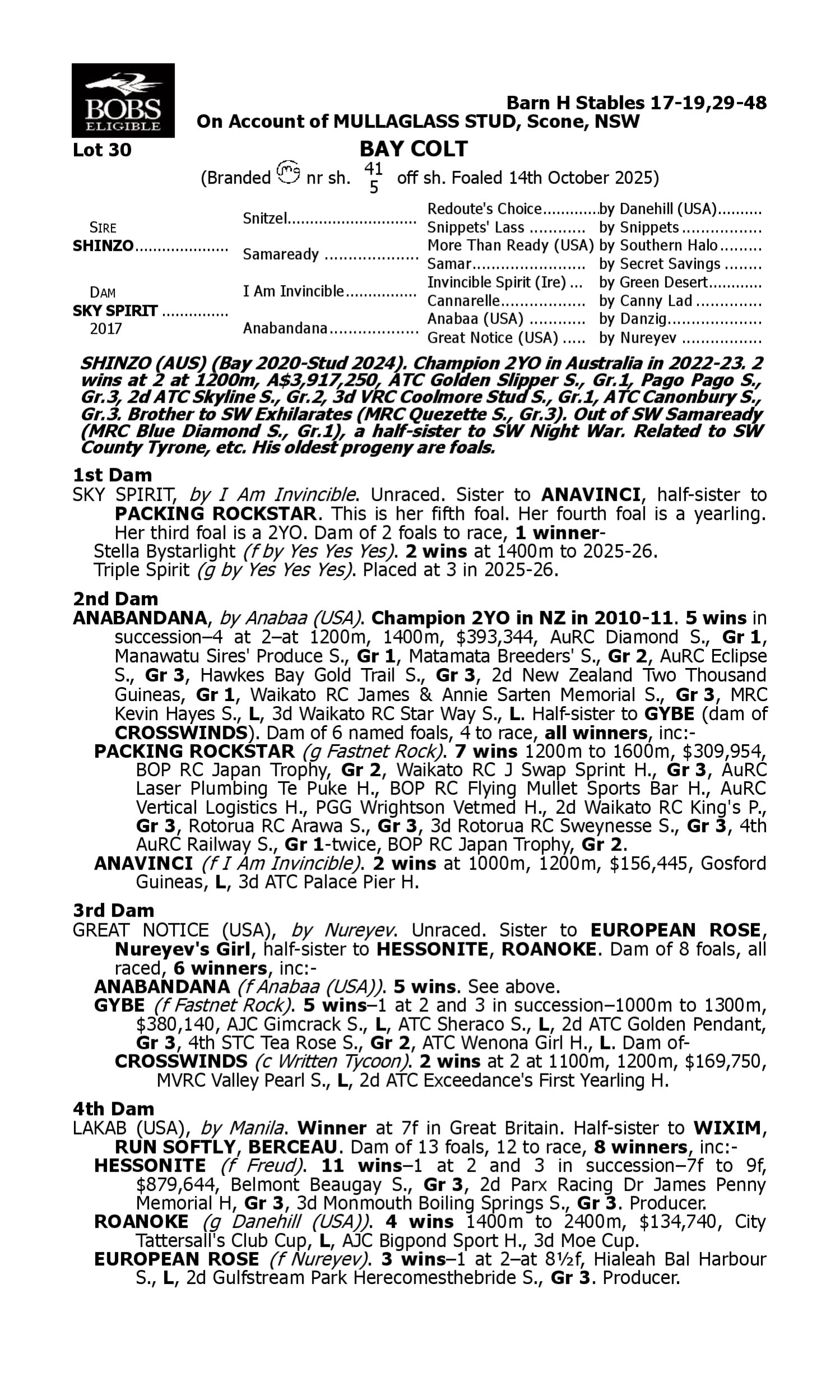 Pedigree for Lot 30 Shinzo - Sky Spirit