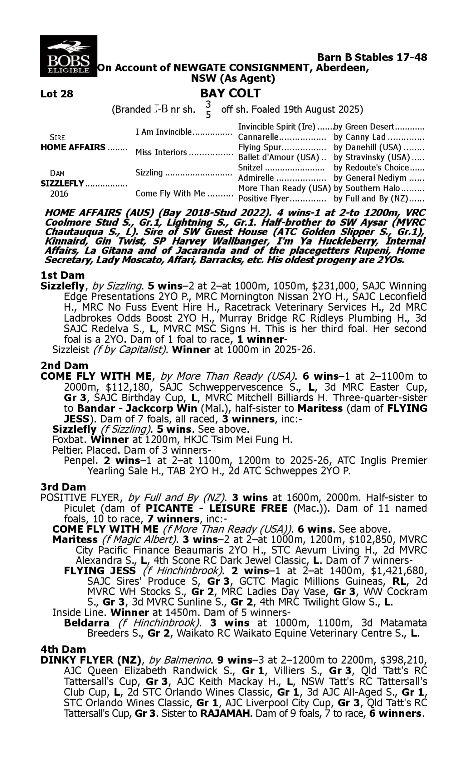 Pedigree for Lot 28 Home Affairs - Sizzlefly