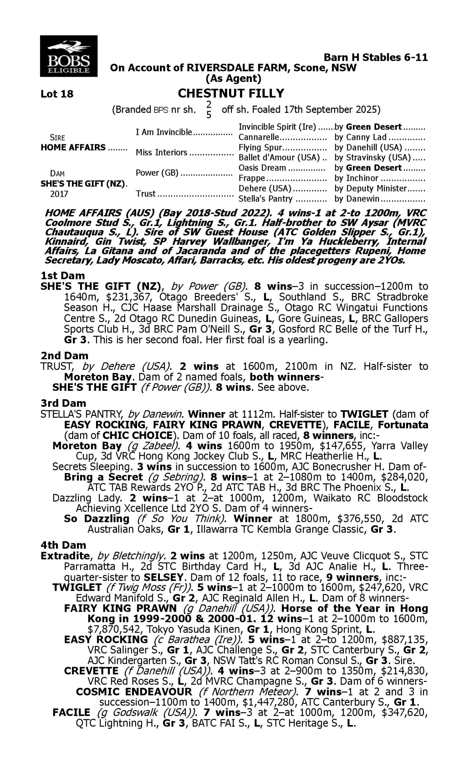 Pedigree for Lot 18 Home Affairs - She's the Gift (NZ)