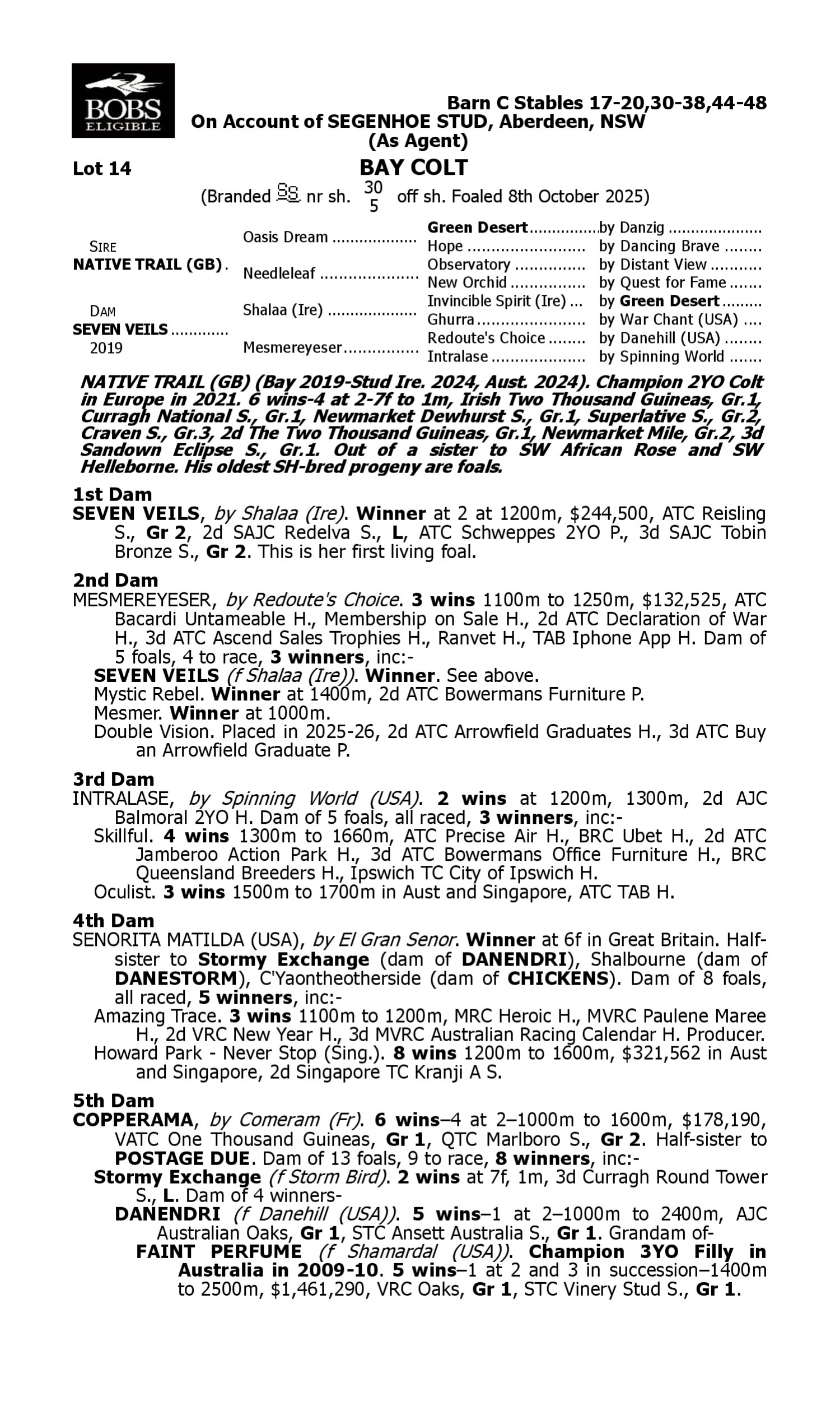 Pedigree for Lot 14 Native Trail (GB) - Seven Veils