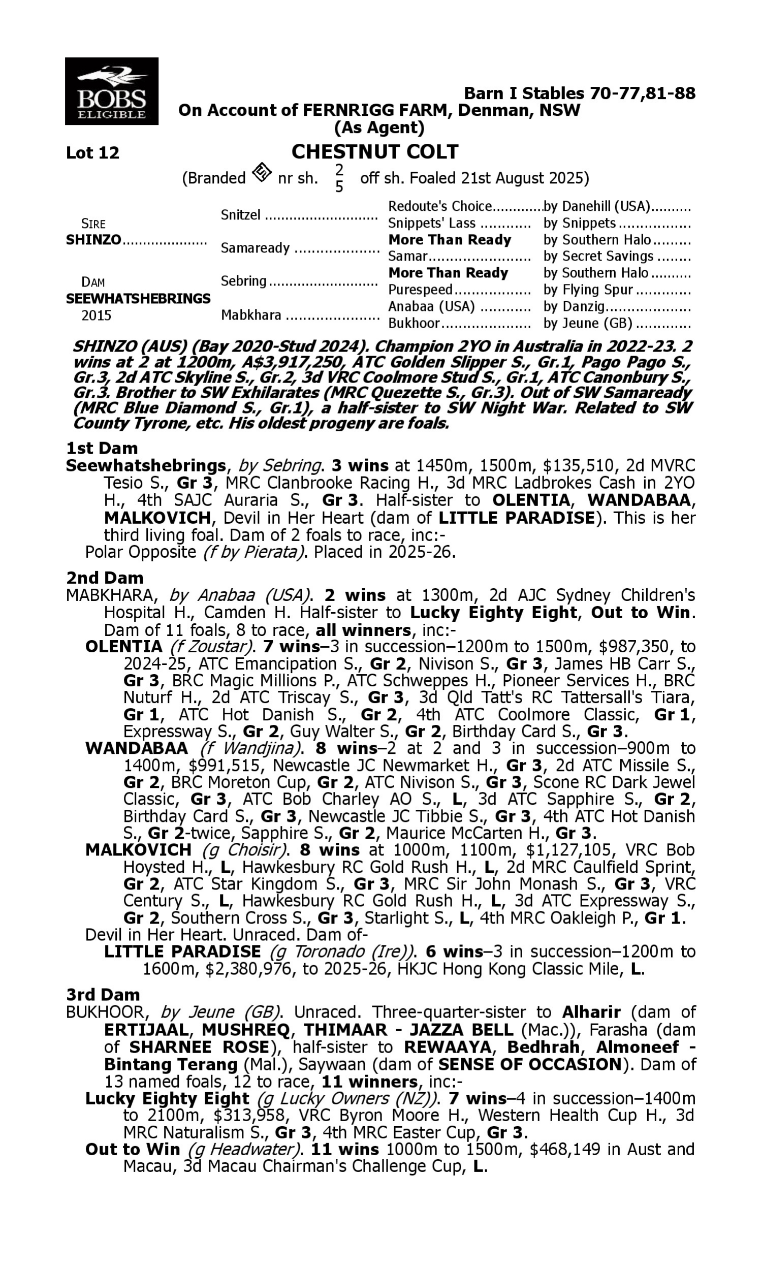 Pedigree for Lot 12 Shinzo - Seewhatshebrings