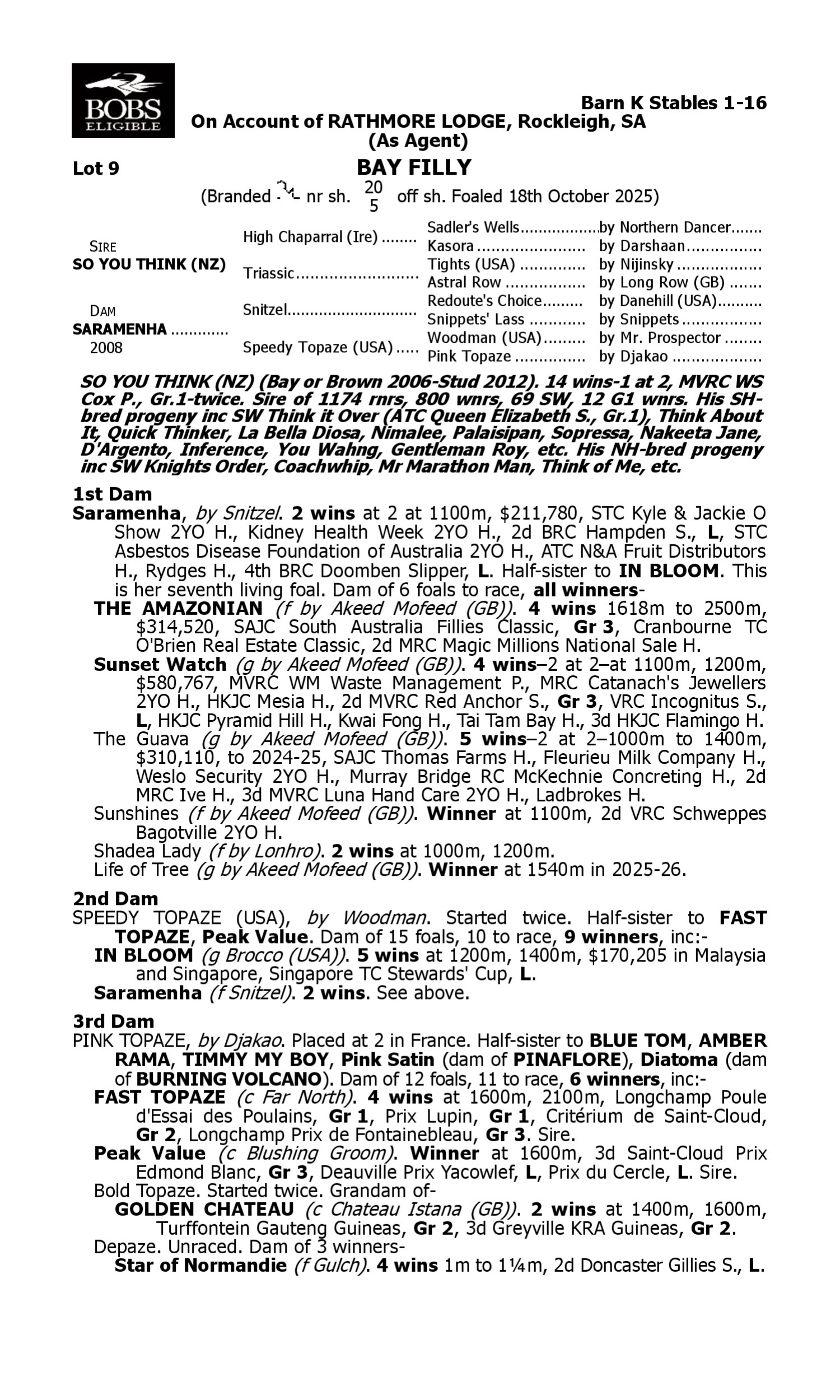Pedigree for Lot 9 So You Think (NZ) - Saramenha