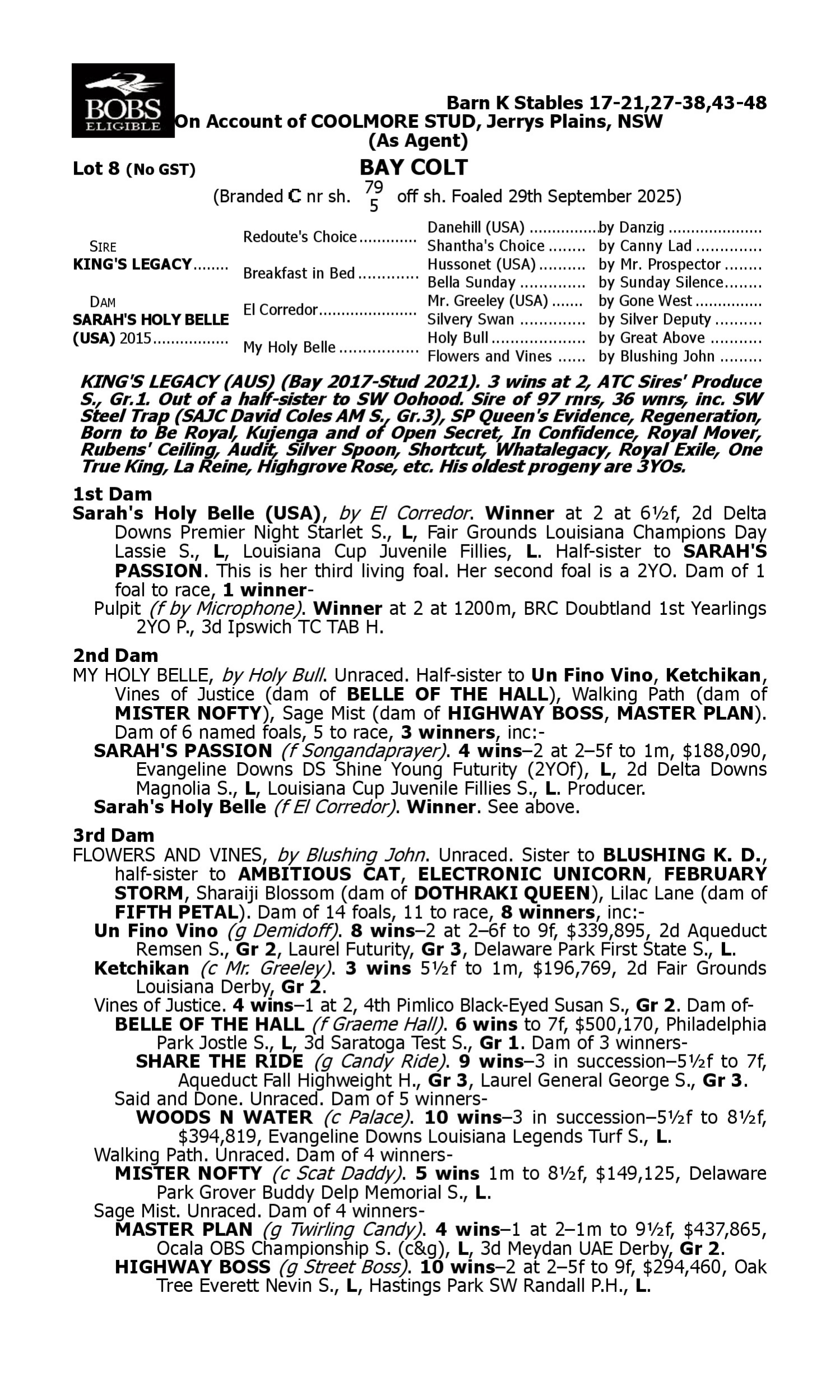 Pedigree for Lot 8 King's Legacy - Sarah's Holy Belle (USA)