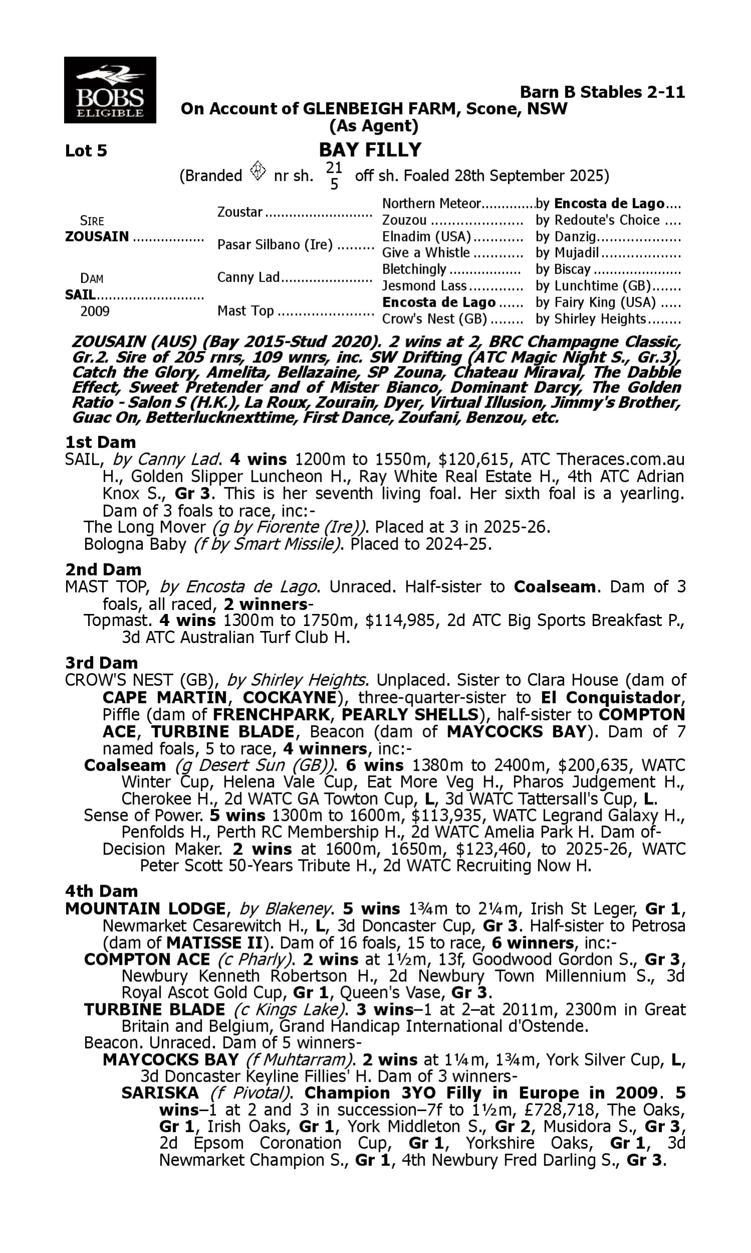 Pedigree for Lot 5 Zousain - Sail