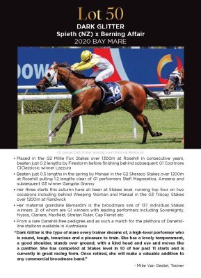 Lot 50: Spieth (NZ) / Berning Affair