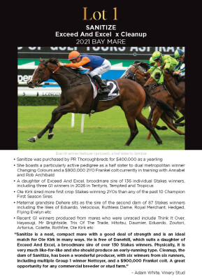 Lot 1: Exceed and Excel / Cleanup