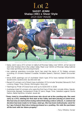 Lot 2: Shalaa (IRE) / Sheer Style