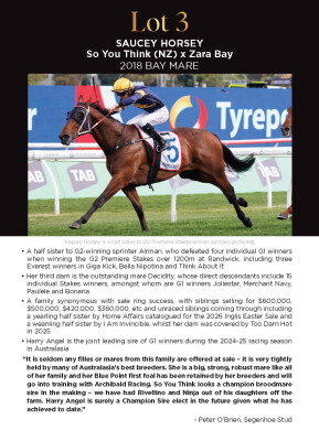 Lot 3: So You Think (NZ) / Zara Bay