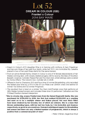 Lot 52: Frankel (GB) / Colour