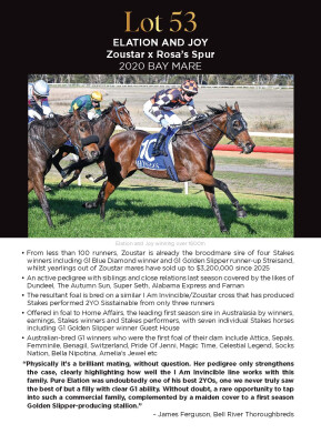 Lot 53: Zoustar / Rosa's Spur