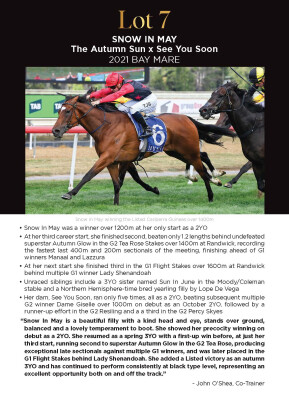 Lot 7: The Autumn Sun / See You Soon