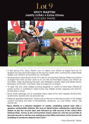 Lot 9: Justify (USA) / Extra Olives