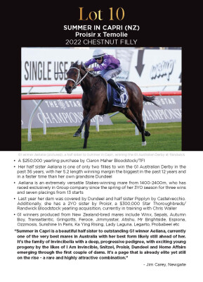 Lot 10: Proisir / Temolie