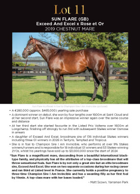 Lot 11: Exceed and Excel / Rose et Or (IRE)