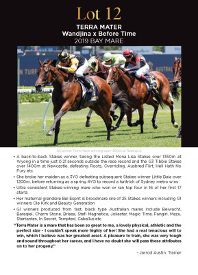 Lot 12: Wandjina / Before Time