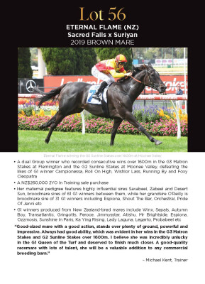 Lot 56: Sacred Falls (NZ) / Suriyan (NZ)