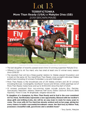 Lot 13: More Than Ready (USA) / Makybe Diva (GB)