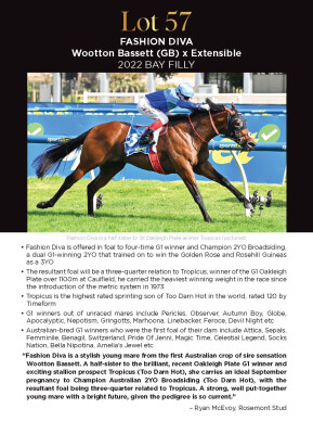 Lot 57: Wootton Bassett (GB) / Extensible