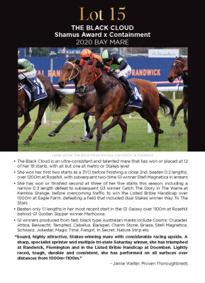 Lot 15: Shamus Award / Containment