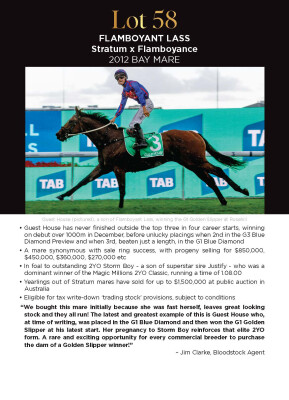 Lot 58: Stratum / Flamboyance