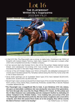 Lot 16: Written By / Sugarparma