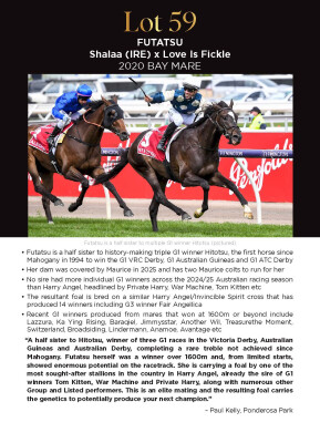 Lot 59: Shalaa (IRE) / Love is Fickle