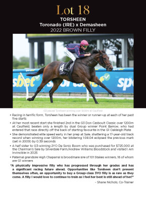 Lot 18: Toronado (IRE) / Demasheen
