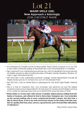 Lot 21: New Approach (IRE) / Adoringly (IRE)