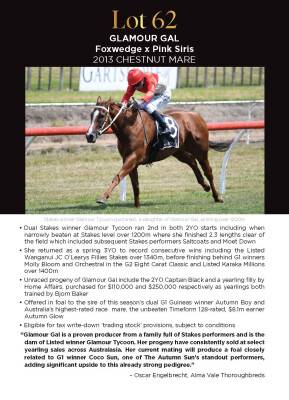 Lot 62: Foxwedge / Pink Siris