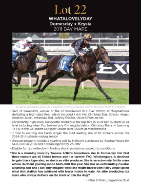 Lot 22: Domesday / Krysia