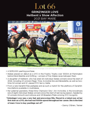 Lot 66: Hellbent / Show Affection