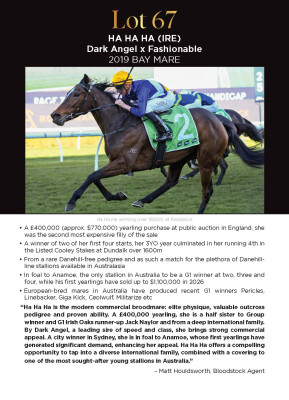 Lot 67: Dark Angel (IRE) / Fashionable (GB)