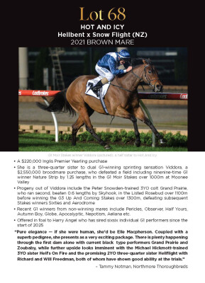 Lot 68: Hellbent / Snow Flight (NZ)