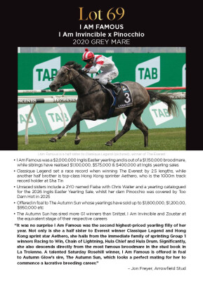 Lot 69: I Am Invincible / Pinocchio