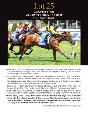 Lot 25: Zoustar / Simply the Best (NZ)