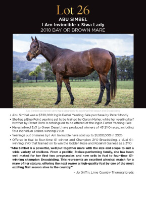 Lot 26: I Am Invincible / Siwa Lady